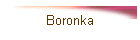 Boronka
