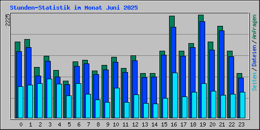 Stunden-Statistik im Monat Juni 2025
