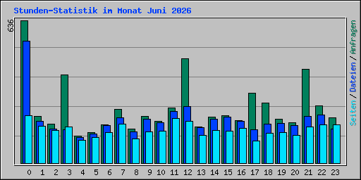 Stunden-Statistik im Monat Juni 2026