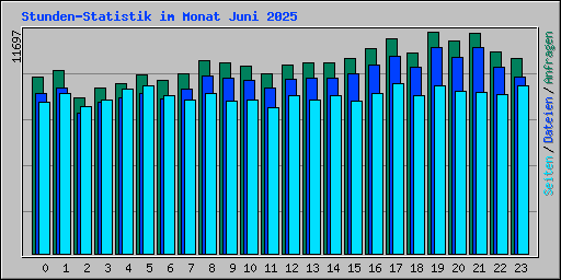 Stunden-Statistik im Monat Juni 2025