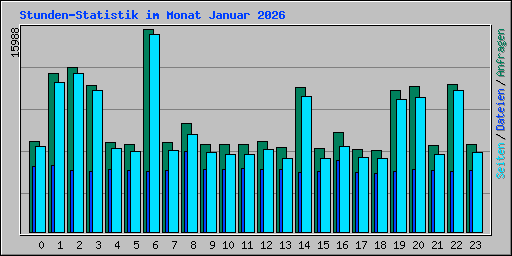 Stunden-Statistik im Monat Januar 2026