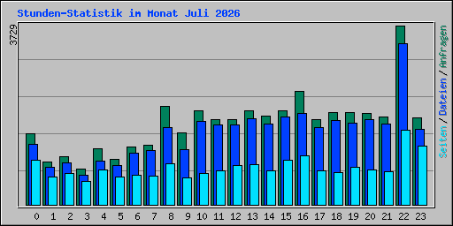 Stunden-Statistik im Monat Juli 2026
